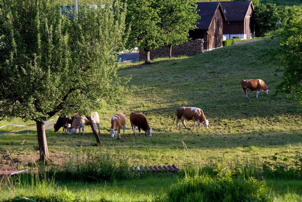 Seehotel Boutique Jaegerhof-Hubertus Faulensee Dış mekan fotoğraf